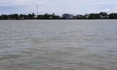Khúc sông Vàm Nao nơi anh Hiếu thường ra mò cá. Khúc sông Vàm Nao nơi anh Hiếu thường ra mò cá.