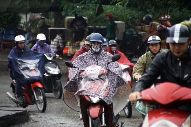 Hà Nội những ngày đầu đông giống như một cô gái đa phong cách với vẻ đẹp u huyền, mơ diệu của những ngày thành phố sang đông… Những cơn mưa phùn, là những cơn gió lạnh thổi nhẹ mỗi sớm mai mà bất cứ ai khi bước ra đường vào sáng sớm đều cảm nhận thấy rõ nhất.