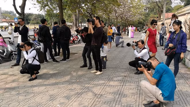 Hình ảnh thú vị cho một ngày cuối tuần, dàn "phó nháy" với đủ mọi tư thế sáng tác ảnh hoa ban.