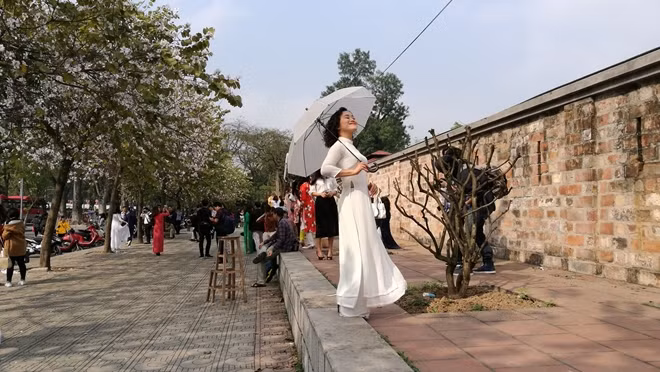 Chị em tạo dáng để có những bức hình lung linh nhất bên hoa ban.