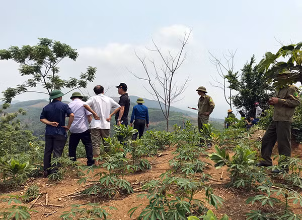 Hiện trường vụ án