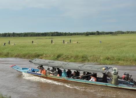 Du khách vào sâu trong Vườn quốc gia Tràm Chim tham quan thu hoạch lúa ma. Ảnh trong bài: Xuân Thuỷ.