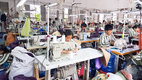 Các phạm nhân nữ đang cải tạo lao động ở trại giam số 5.