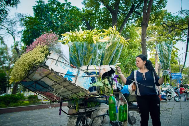 Phần lớn hoa được bán đều là những nụ chưa nở. Mỗi cành có 3-5 nụ. Theo người bán chia sẻ khi mua về, để khoảng 3 ngày, nụ hoa sẽ nở hết và có thể chơi hoa trong 7-10 ngày.