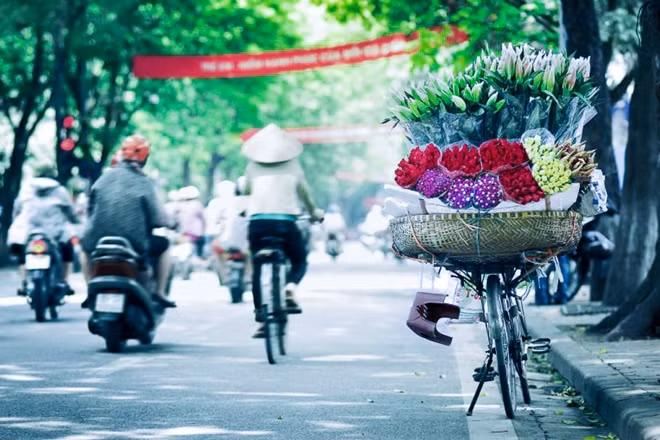 Gánh hoa rong vẫn hàng ngày rong ruổi khắp phố phường Hà Nội mang cái đẹp tới cho tất cả những ai yêu cái đẹp của loài hoa loa kèn.