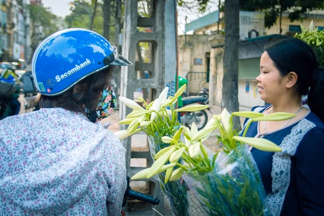 Phụ nữ thường chọn hoa loa kèn bởi sự tinh khôi của cánh hoa khi nở cùng hương thơm dịu dàng của nó.