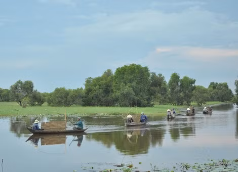 Canh tác lúa ma miệt Đồng Tháp Mười