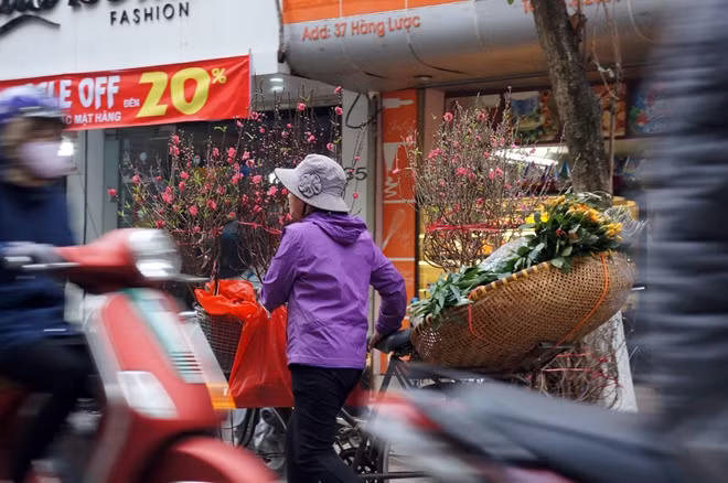 Mức giá hoa đào cũng chưa có quá nhiều biến động. Những cành đào nhỏ được người bán ra giá khoảng 80 nghìn đồng. Trong khi đó, với những cành lớn hơn, dùng để cắm bình to dao động từ 200 nghìn đến 400 nghìn đồng.
