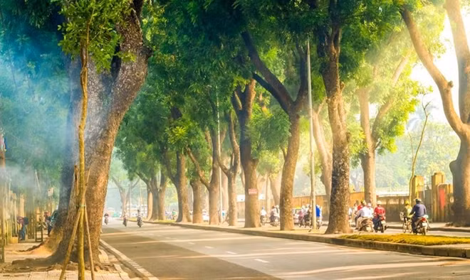 Miền Bắc nắng ấm