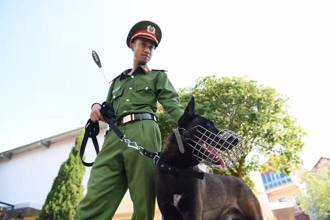 Vòng Chung kết Hội thi chó nghiệp vụ CAND lần thứ IV sẽ diễn ra trong 5 ngày (từ ngày 3-6 đến ngày 7-6-2019).