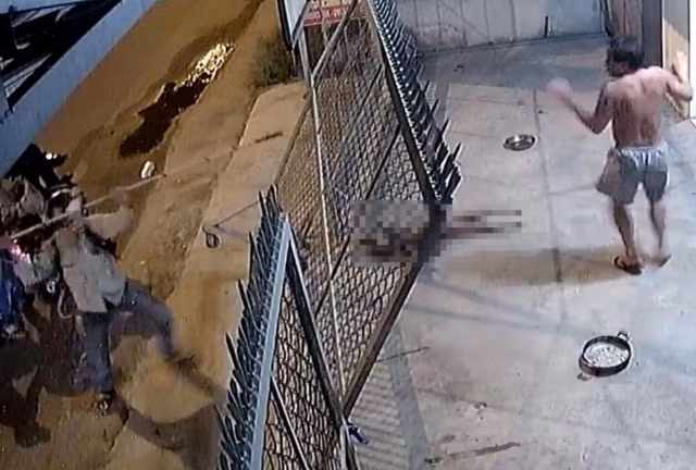 "Cẩu tặc" dùng dây chích điện tấn công chủ nhà khi bị phát hiện trộm chó được camera an ninh ghi lại.
