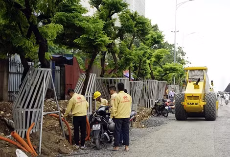 Thông tin về việc người dân khai thác những cây sưa hàng trăm năm tuổi tại Quảng Nam ảnh 2