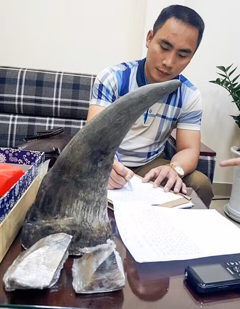 Lập biên bản xử lý vi phạm.