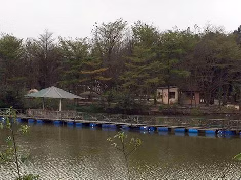 Bên trong Dự án Đồi 79 mùa Xuân.
