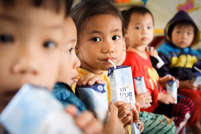 Trẻ em miền núi phía Bắc uống sữa theo chương trình Sữa học đường.