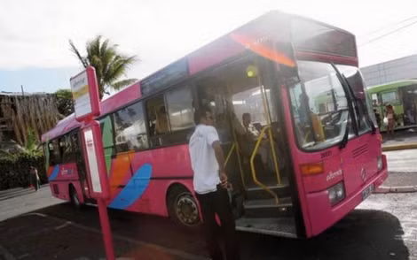 Xe bus dành riêng cho phụ nữ ở Ai Cập.