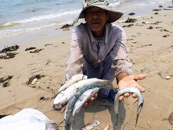 Thảm họa xả thải của Formosa đã buộc phải cân nhắc thận trọng các dự án thép.