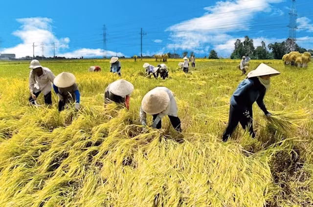 Nắng nóng khắp Bắc và Trung Bộ.