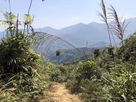 Đường vào hiện trường vụ án.