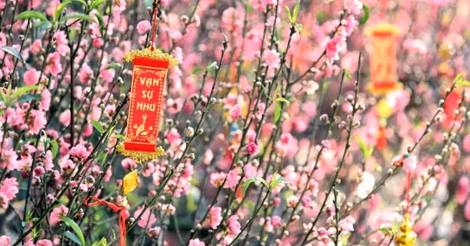 Tết ba miền nắng đẹp, miền Bắc rét