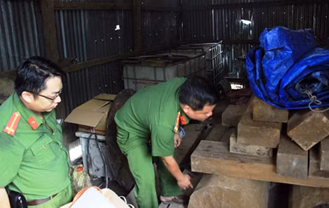 Lực lượng Công an phát hiện gỗ lậu của Hà.