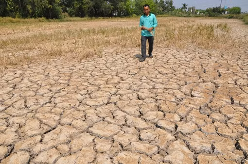 Lo ngại El Nino quay lại