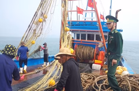Bắt quả tang tàu giã cào hoạt động trái phép trên vùng biển Thừa Thiên-Huế ảnh 4