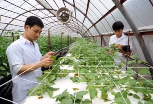 Ảnh mang tính chất minh họa. Ảnh mang tính chất minh họa.
