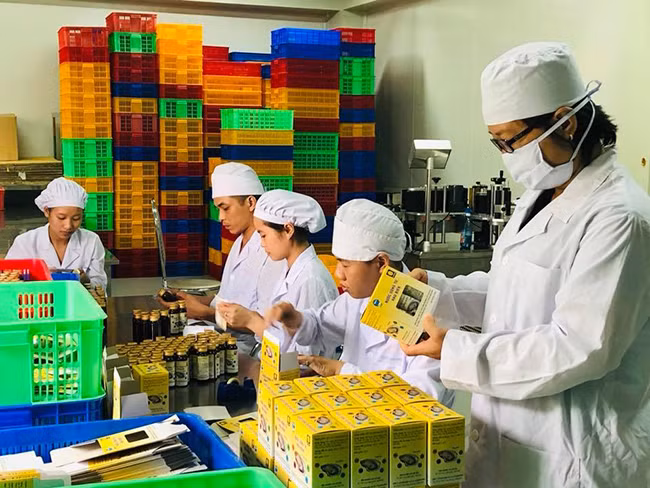 Sản phẩm nước hàu được chế biến, đóng gói tại Công ty CP dược vật tư y tế Quảng Ninh. Ảnh: Hoàng Sơn
