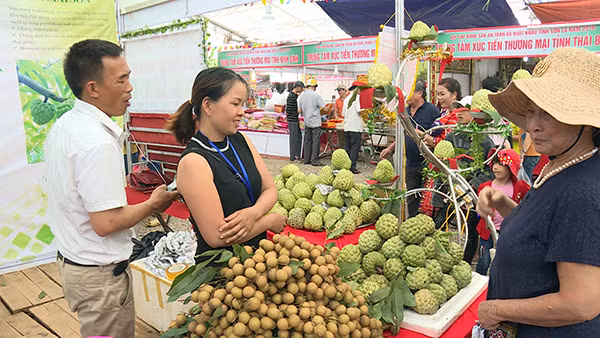 Người dân mua bán, trao đổi các sản phẩm của các dân tộc