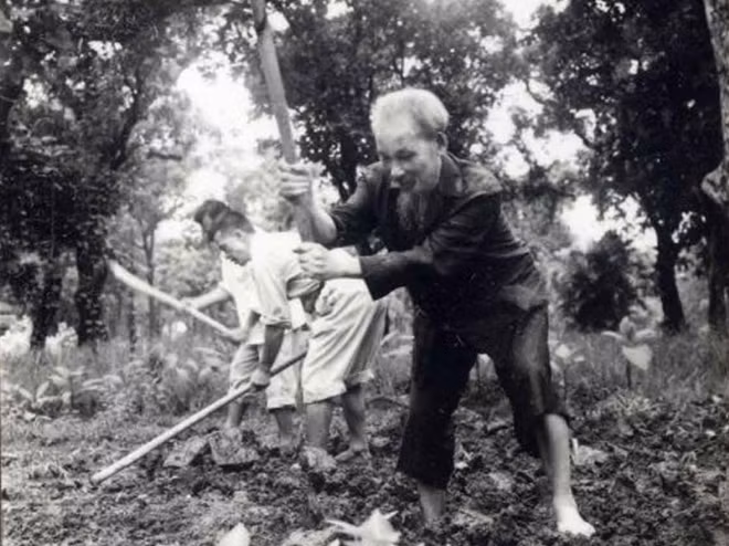 Chủ tịch Hồ Chí Minh lao động tăng gia sản xuất cùng cán bộ, chiến sĩ bảo vệ. Chủ tịch Hồ Chí Minh lao động tăng gia sản xuất cùng cán bộ, chiến sĩ bảo vệ.