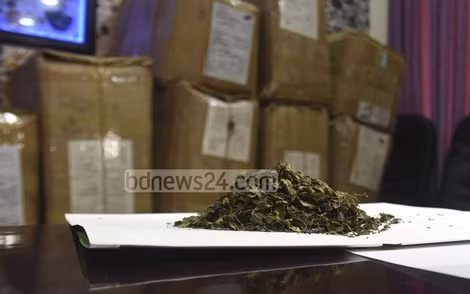 Từ tháng 8 đến nay, hải quan và cảnh sát Bangladesh đã thu giữ được hàng trăm tấn ma tuý "khat" đến từ Ethiopia. ảnh: bdnews24.