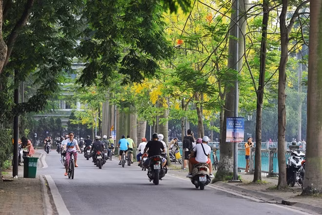Vẻ đẹp của muồng hoàng yến giúp khung cảnh hồ Tây thêm thơ mộng và quyến rũ.