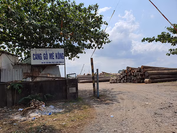 Cảng gỗ của Công ty Mê Kông ngang nhiên hoạt động. Cảng gỗ của Công ty Mê Kông ngang nhiên hoạt động.