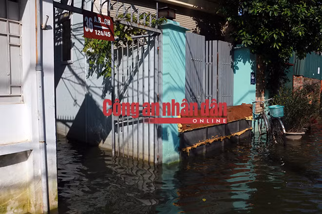 Nước cống hôi rình có ở khắp mọi nơi.