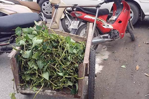 Xe máy của nạn nhân tại hiện trường.