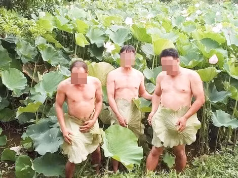 Không chỉ phụ nữ, đàn ông cũng “đua” chụp những bức ảnh “kinh hoàng” bên sen.