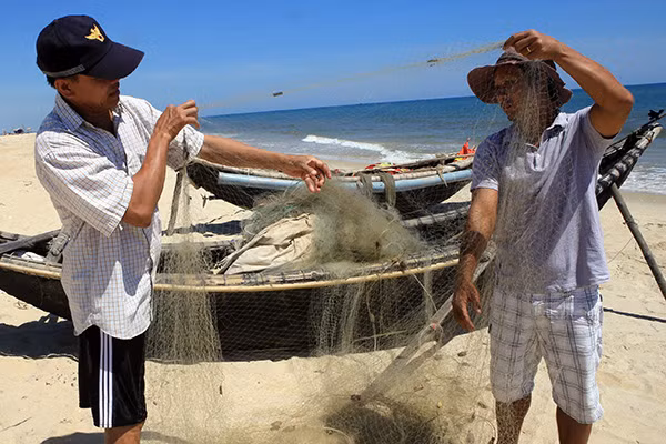 Ngư lưới cụ của ngư dân thôn Tân An, xã Phú Thuận, huyện Phú Vang bị cá nóc cắn phá gây thiệt hại nặng.