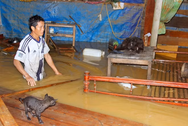 Dù có chuẩn bị, một số nhà dân vẫn không kịp di dời những đồ đạc lớn như bàn ghế, thiết bị điện máy. "Sau đợt lũ này, những dụng cụ nào còn dùng được thì sẽ chùi rửa để sử dụng. Đối với quạt điện, nồi cơm điện bị hư hỏng thì phải sắm mới", ông Nguyễn Văn Thành (trú xã Phương Mỹ, Hà Tĩnh) nói.