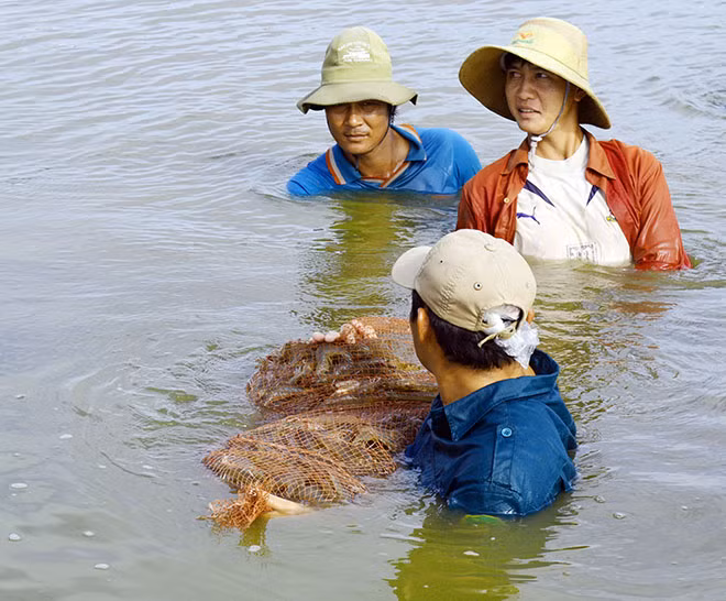 Bạc Liêu đang xây dựng và phát triển trở thành trung tâm công nghiệp ngành tôm cả nước.