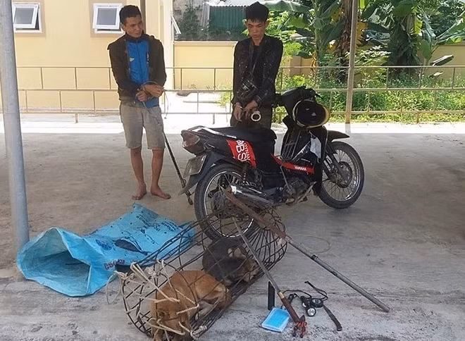Bắt giữ đối tượng trộm cắp