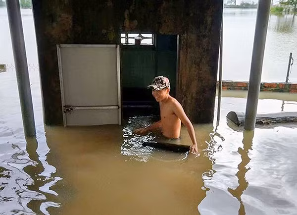 Người dân huyện Tuy Phước chạy lũ