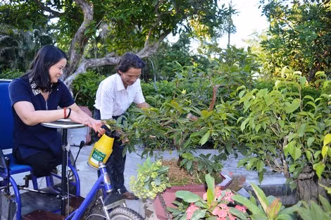 Mỗi buổi chiều về, họ cùng nhau tưới tắm cho vườn cây cảnh.