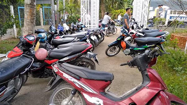 Tang vật được cơ quan chức năng thu giữ.