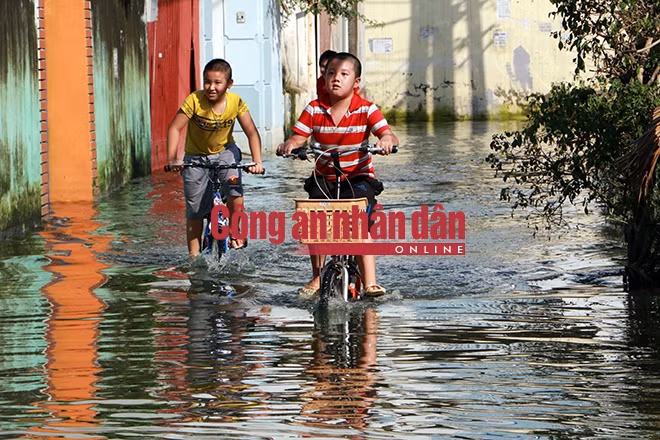 Trẻ con đạp xe qua biển nước cống.