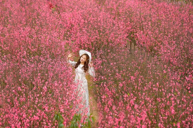 Thời tiết mùng 2 Tết vẫn rất đẹp để người dân du Xuân.
