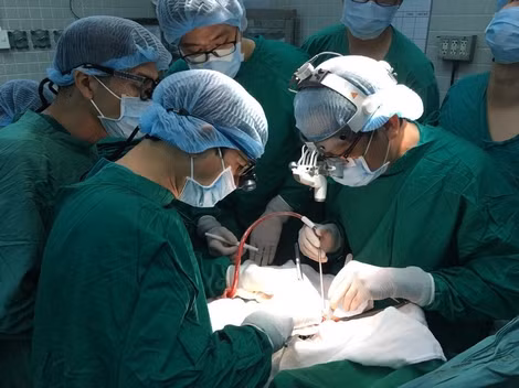 Ca ghép tạng theo "mệnh lệnh trái tim".