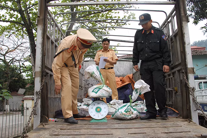 Lực lượng chức năng đang kiểm đếm và niêm phong số quặng lậu