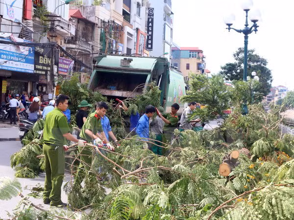Công an thành phố Hà Nội tham gia dọn cành, lá cây sau bão. Ảnh: Mạnh Khánh/TTXVN.
