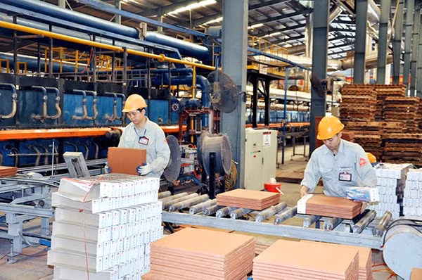 Xây dựng môi trường kinh doanh bình đẳng để kinh tế tư nhân phát triển.